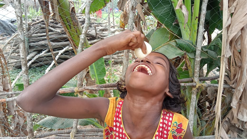 Celebrating 10,00,000 Food Plates Distribution