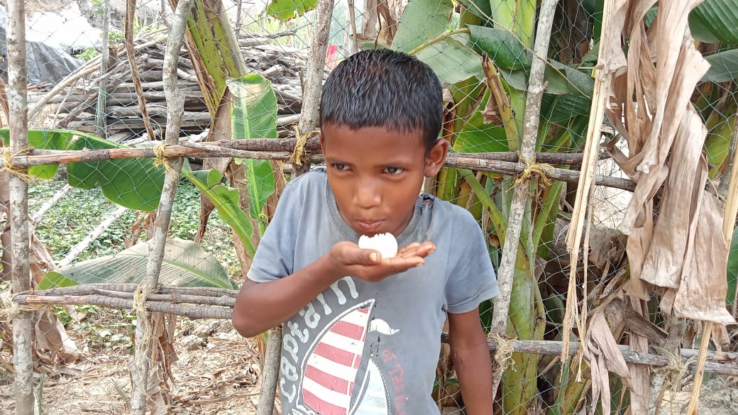 Celebrating 10,00,000 Food Plates Distribution